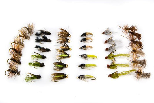 Caddis Life Cycle - 36 Flies 14 - Hazy Fly Fishing