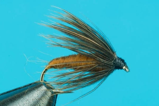 Caddis Pupa - Hazy Fly Fishing