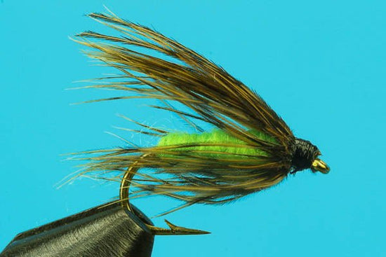 Caddis Pupa - Hazy Fly Fishing