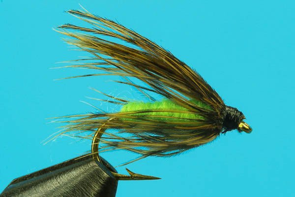 Caddis Pupa - Hazy Fly Fishing