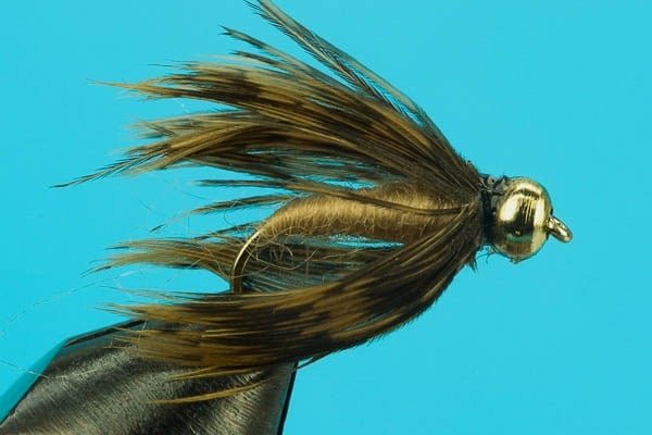 Caddis Pupa - Beadhead - Hazy Fly Fishing