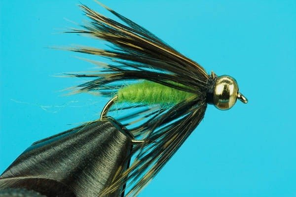 Caddis Pupa - Beadhead - Hazy Fly Fishing