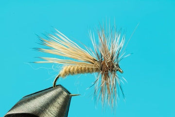 Caddis Variant - Hazy Fly Fishing