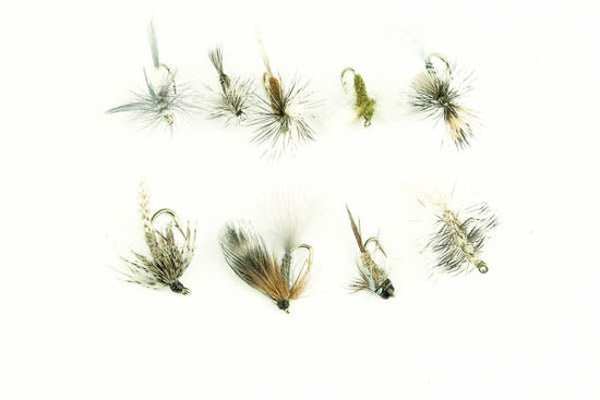 Callibaetis Assortment - 36 Flies 12 - Hazy Fly Fishing