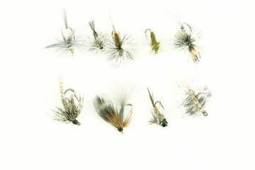 Callibaetis Assortment - 36 Flies 12 - Hazy Fly Fishing