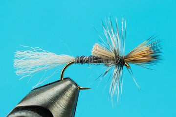 Callibaetis Cripple - Hazy Fly Fishing