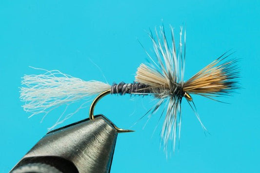 Callibaetis Cripple - Hazy Fly Fishing