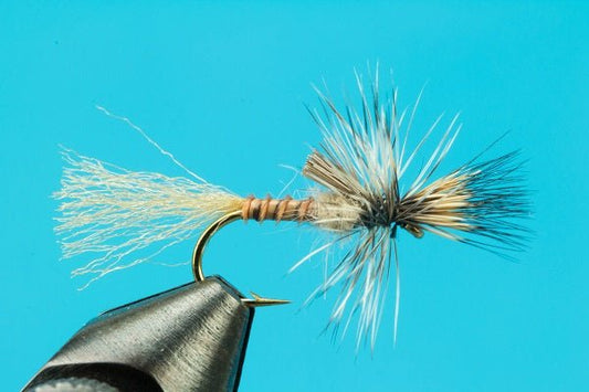 Callibaetis Cripple - Hazy Fly Fishing