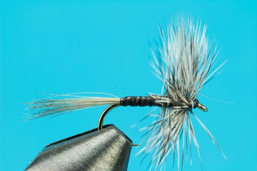 Callibaetis Quill Dun - Hazy Fly Fishing