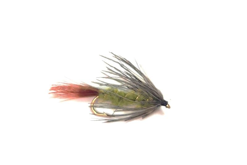 Carey Special - Hazy Fly Fishing