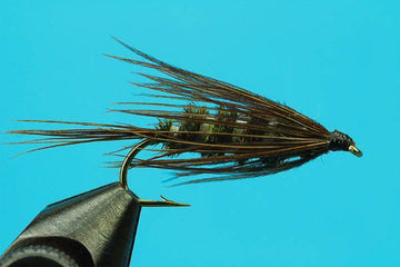 Carey Special - Hazy Fly Fishing