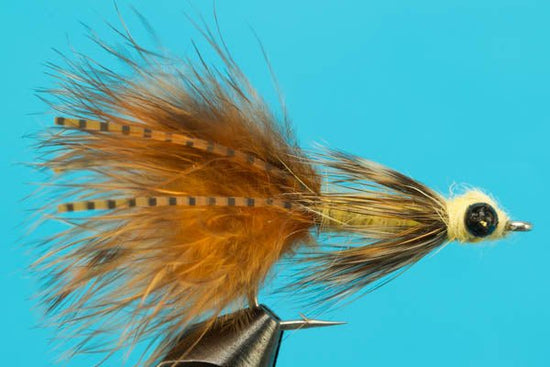 Carp Bitter - Hazy Fly Fishing