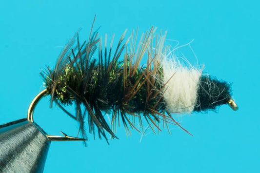 Cased Caddis - Hazy Fly Fishing