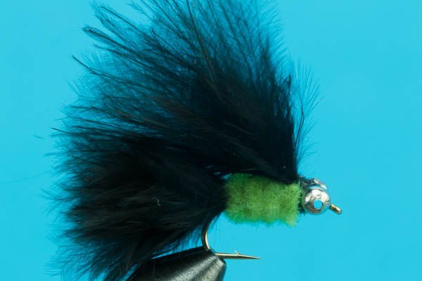 Cat's Whisker - Hazy Fly Fishing