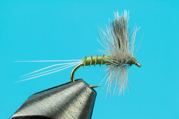 CDC Biot BWO Thorax - Hazy Fly Fishing