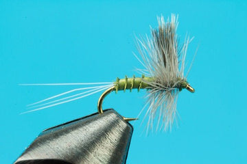 CDC Biot BWO Thorax - Hazy Fly Fishing
