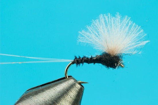 CDC Biot Comparadun Trico - Hazy Fly Fishing
