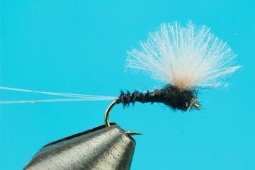 CDC Biot Comparadun Trico - Hazy Fly Fishing