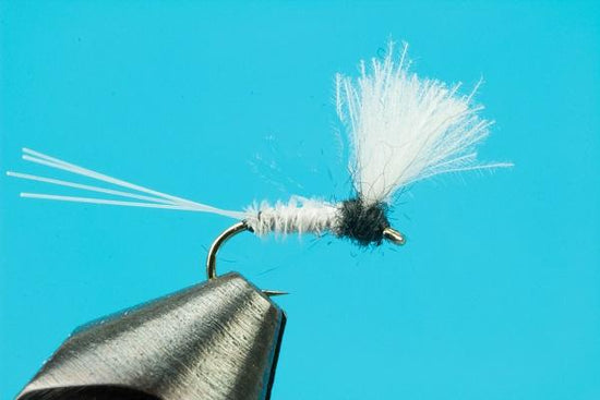 CDC Biot Comparadun Trico - Hazy Fly Fishing
