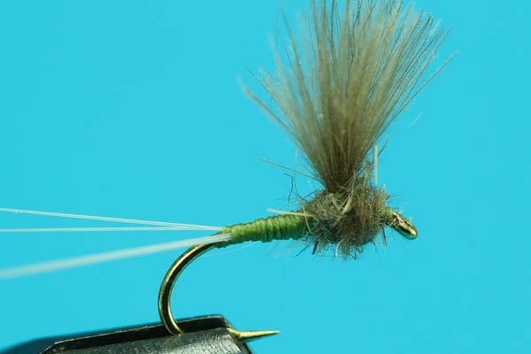 CDC Comparadun - Hazy Fly Fishing