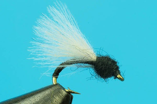 CDC Emerger Trico - Hazy Fly Fishing