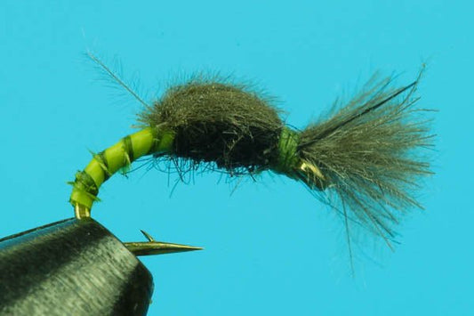 CDC Midge Pupa - Hazy Fly Fishing