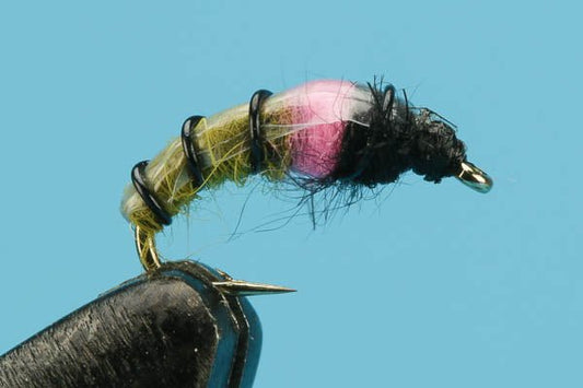 Chama Hottie - Hazy Fly Fishing