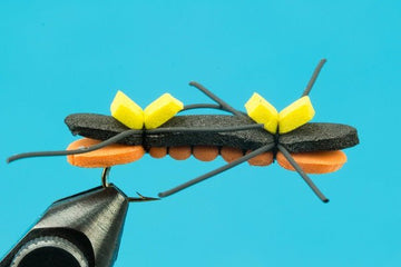 Chernobyl Ant - Hazy Fly Fishing