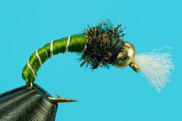 Chironomid Pupa - Beadhead - Hazy Fly Fishing