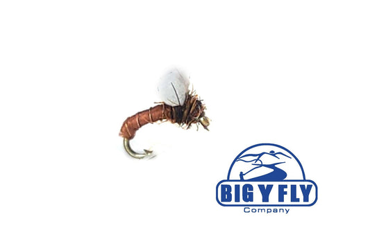 Chocolate Foam Emerger - Hazy Fly Fishing