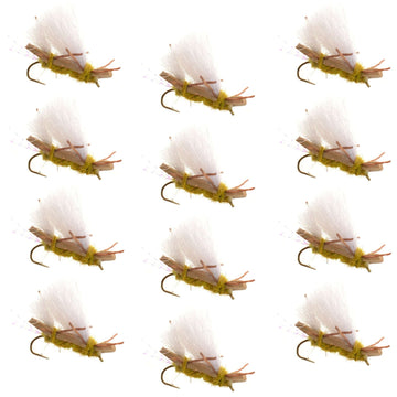 Chubby Chernobyl Ant Golden Foam Body Grasshopper Fly - 1 Dozen Flies Hook Size 10 - Hazy Fly Fishing