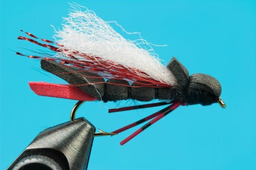Cicada - Hazy Fly Fishing