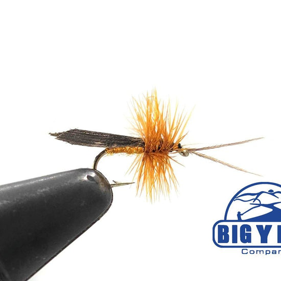 Cinnamon Sedge - Hazy Fly Fishing