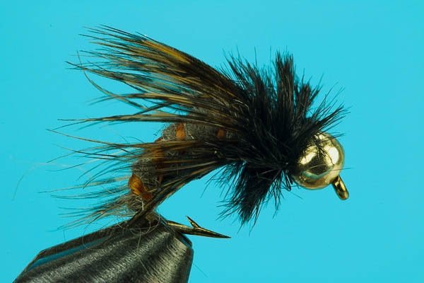 Circus Caddis - Beadhead - Hazy Fly Fishing