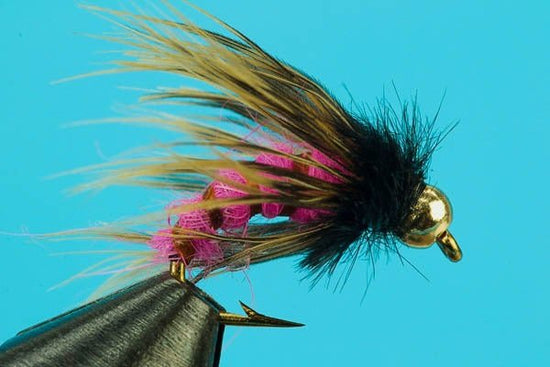 Circus Caddis - Beadhead - Hazy Fly Fishing