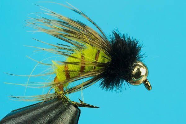 Circus Caddis - Beadhead - Hazy Fly Fishing
