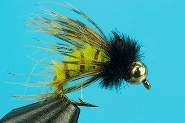 Circus Caddis - Beadhead - Hazy Fly Fishing