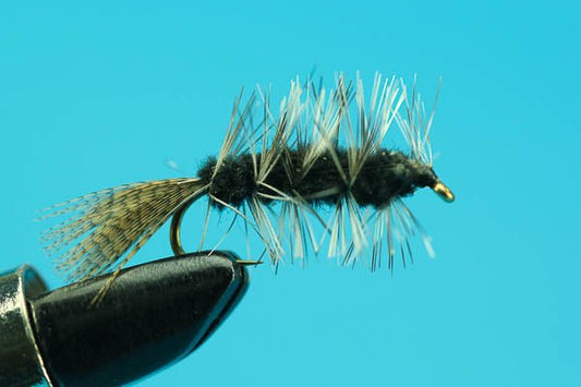 CK Nymph - Hazy Fly Fishing