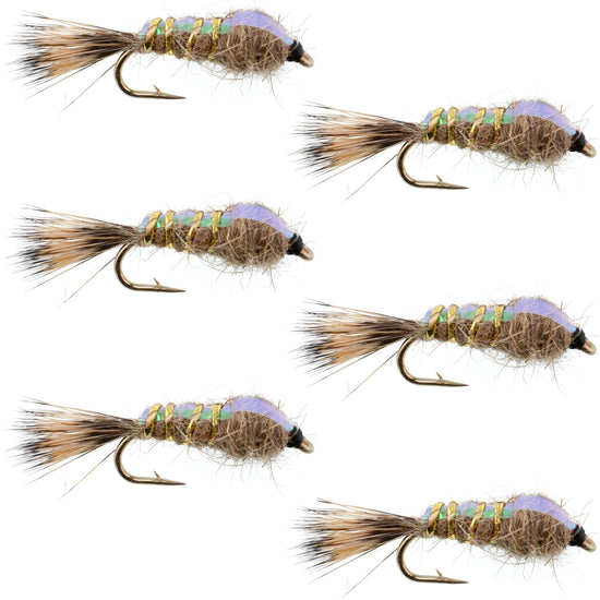 Classic Weighted Flashback Gold Ribbed Hares Ear Nymph - Set of 6 Flies - Size 12 - Hazy Fly Fishing