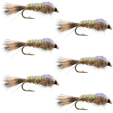 Classic Weighted Flashback Gold Ribbed Hares Ear Nymph - Set of 6 Flies - Size 12 - Hazy Fly Fishing