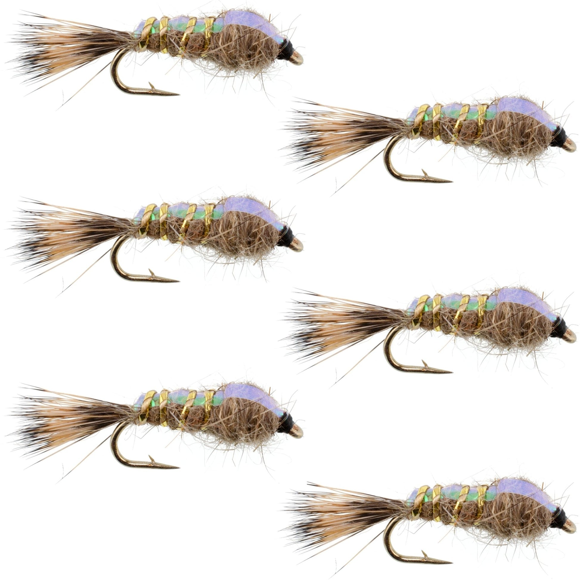 Classic Weighted Flashback Gold Ribbed Hares Ear Nymph - Set of 6 Flies - Size 14 - Hazy Fly Fishing