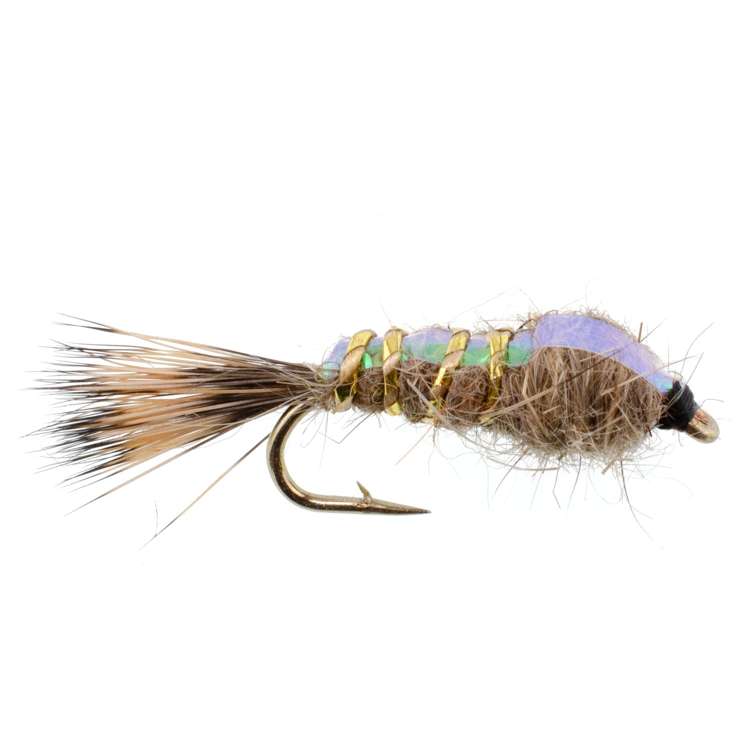 Classic Weighted Flashback Gold Ribbed Hares Ear Nymph - Set of 6 Flies - Size 14 - Hazy Fly Fishing