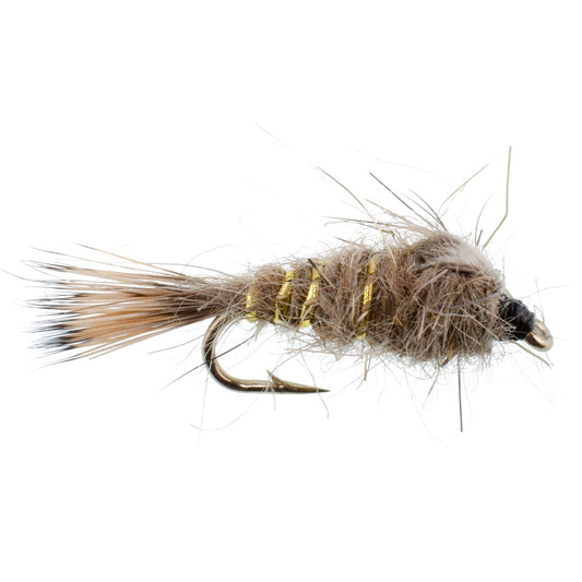 Classic Weighted Gold Ribbed Hares Ear Nymph - Set of 6 Flies - Size 16 - Hazy Fly Fishing