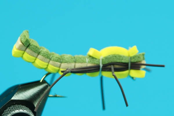 Club Sandwich - Hazy Fly Fishing