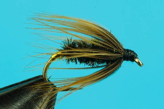 Cochybondhu - Hazy Fly Fishing