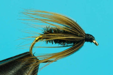 Cochybondhu - Hazy Fly Fishing