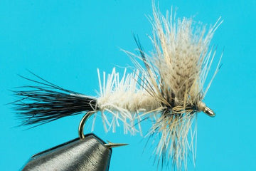 Coffin Fly - Hazy Fly Fishing