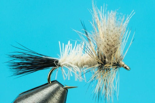 Coffin Fly - Hazy Fly Fishing