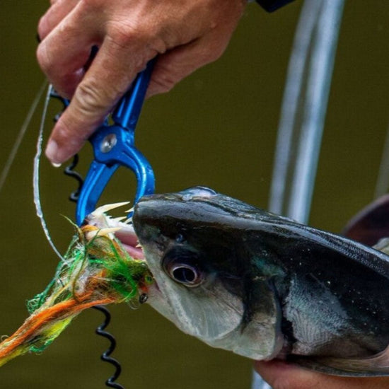 Coil Leash - Hazy Fly Fishing
