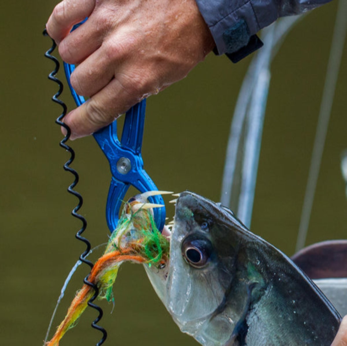 Coil Leash - Hazy Fly Fishing